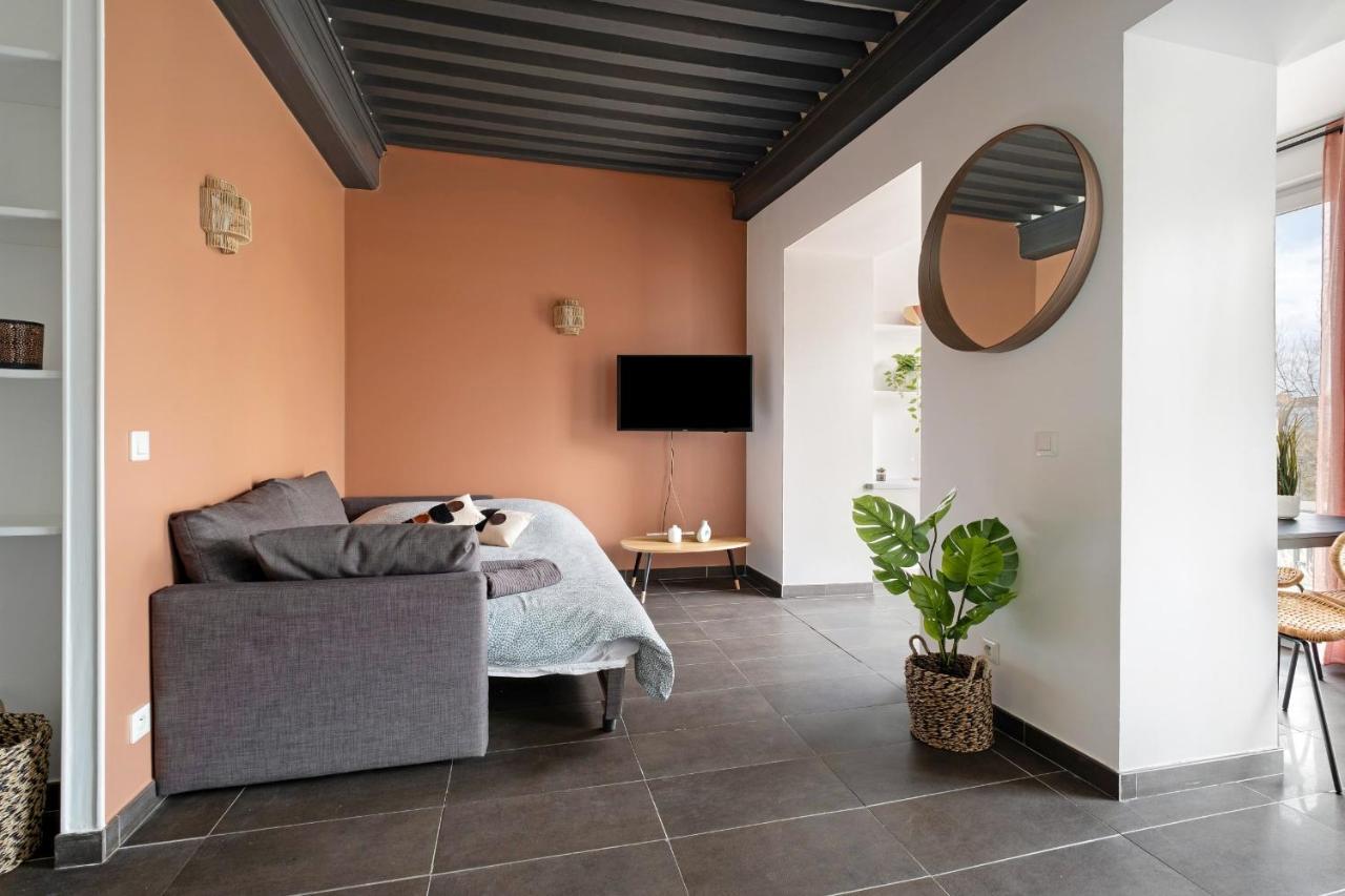 Lyon Cite- Appartement Vue Rhone Terrasse-Caluire エクステリア 写真